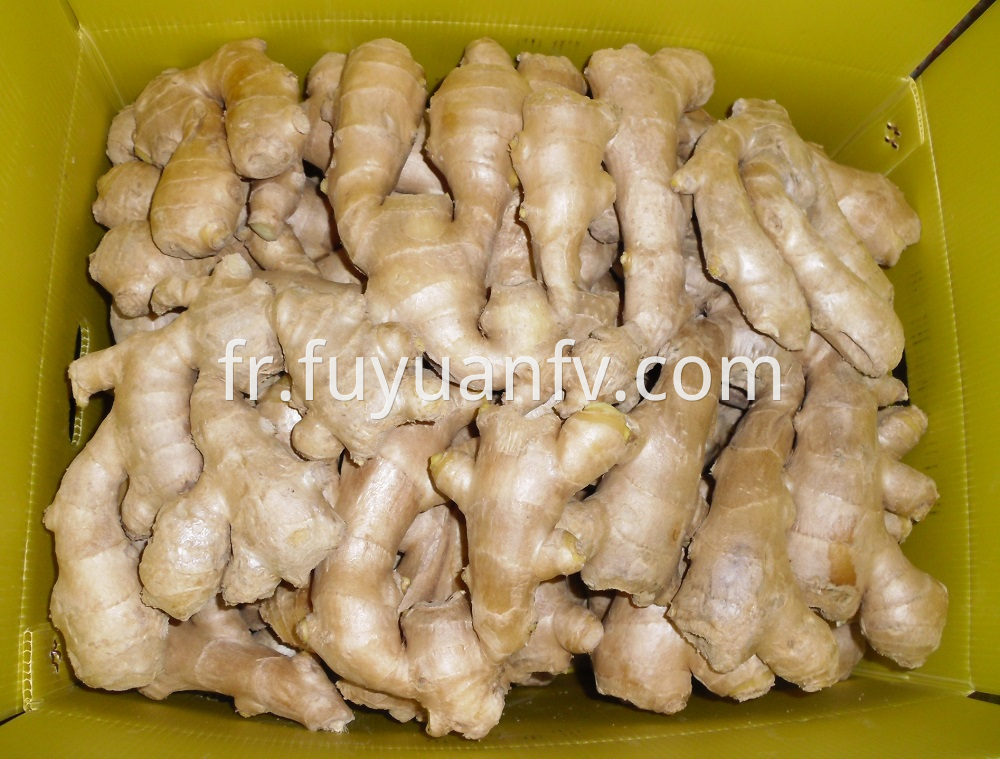 air dried ginger 3